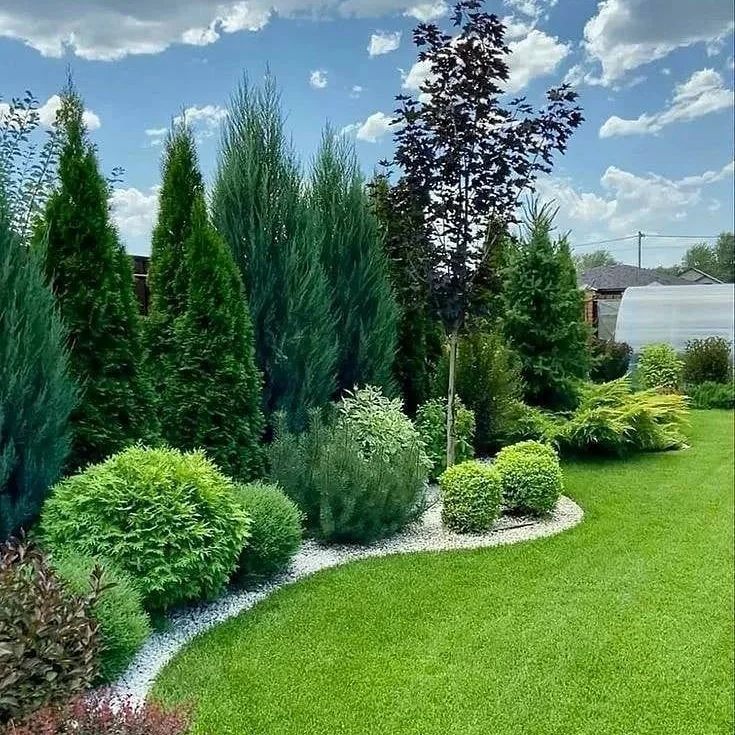 Ağac və qazonlarının əkini