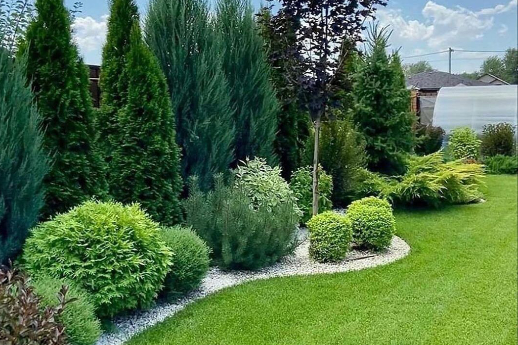 Yaşayış obyektləri və kommersiya təşkilatlarının yaşıllaşdırılması